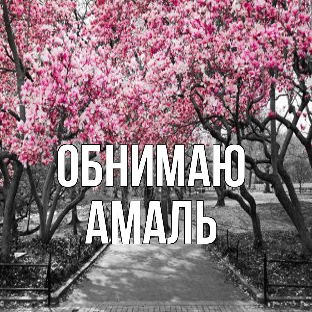 Открытка  с именем. Амаль, Обнимаю  