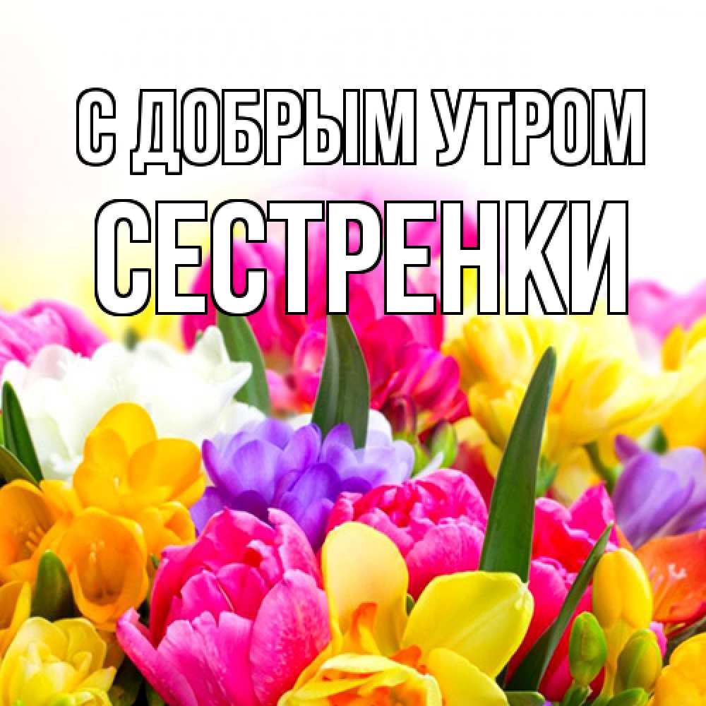 Открытка  с именем. Сестренки, С добрым утром  