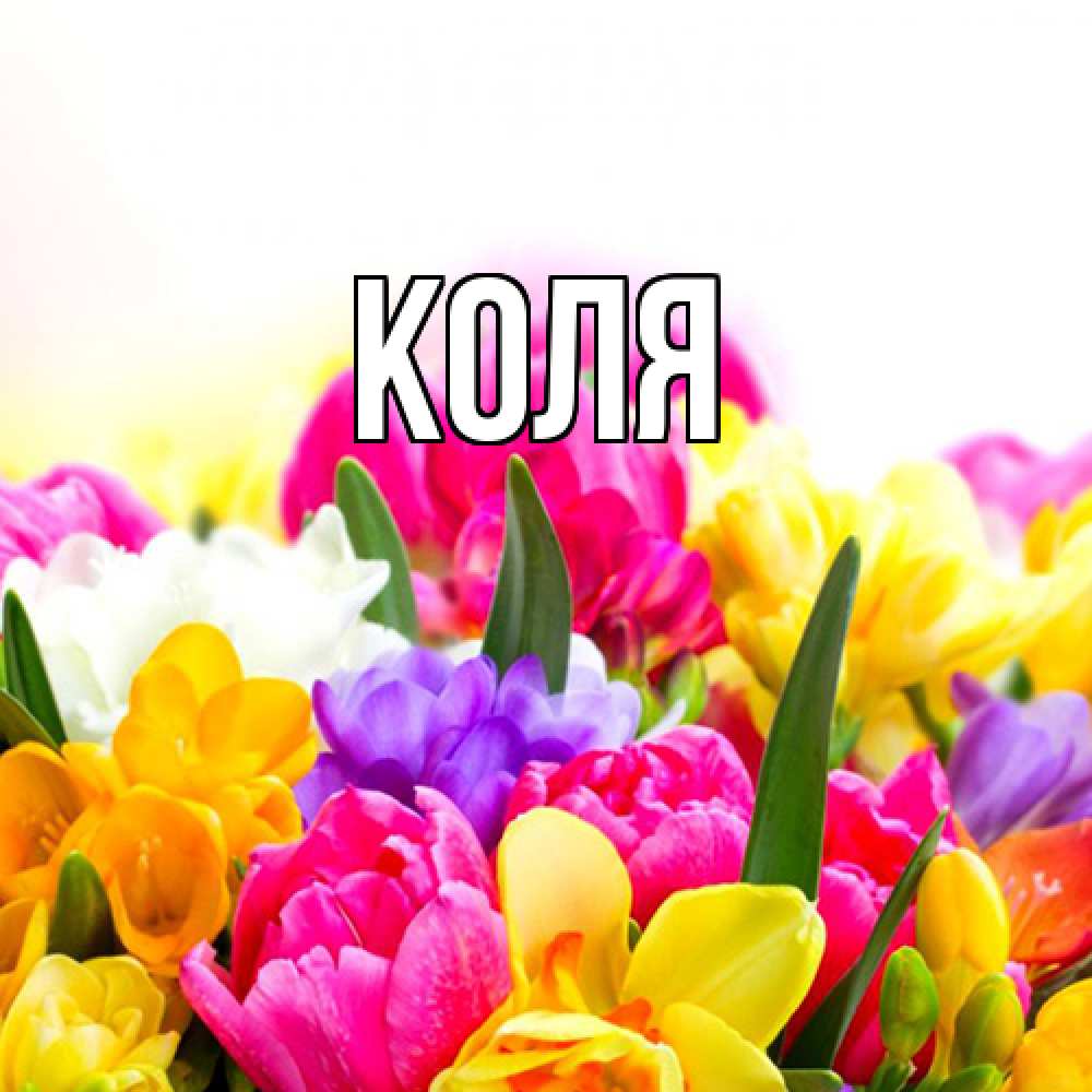 Открытка  с именем. коля, Главная  
