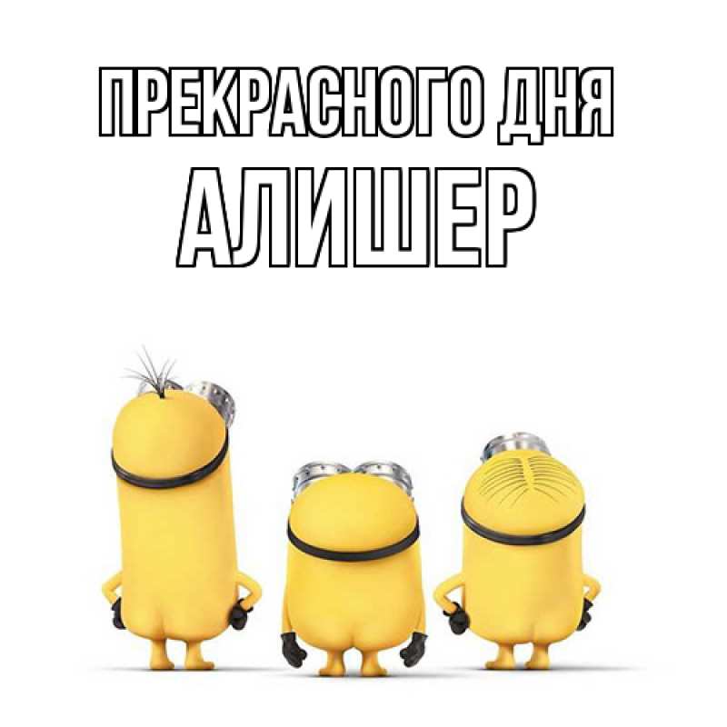 Картинка Прекрасного дня, Алишер