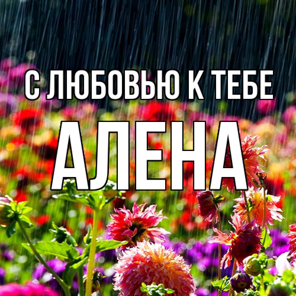 Открытка  с именем. Алена, С любовью к тебе  