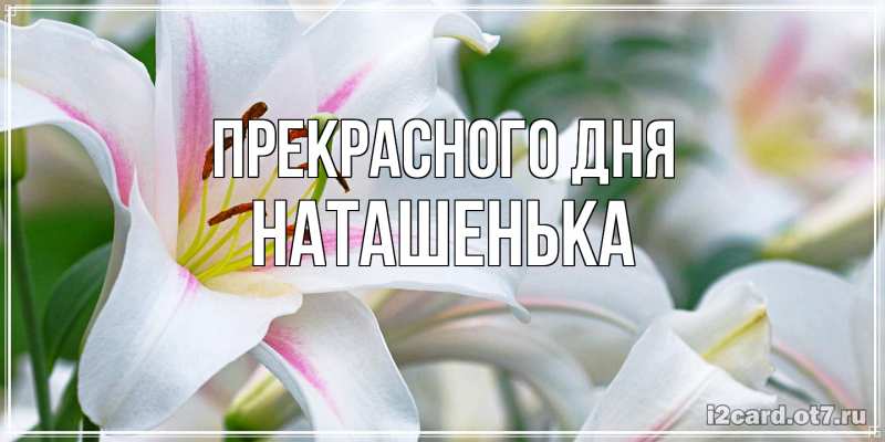 Картинка Прекрасного дня, НАТАШЕНЬКА