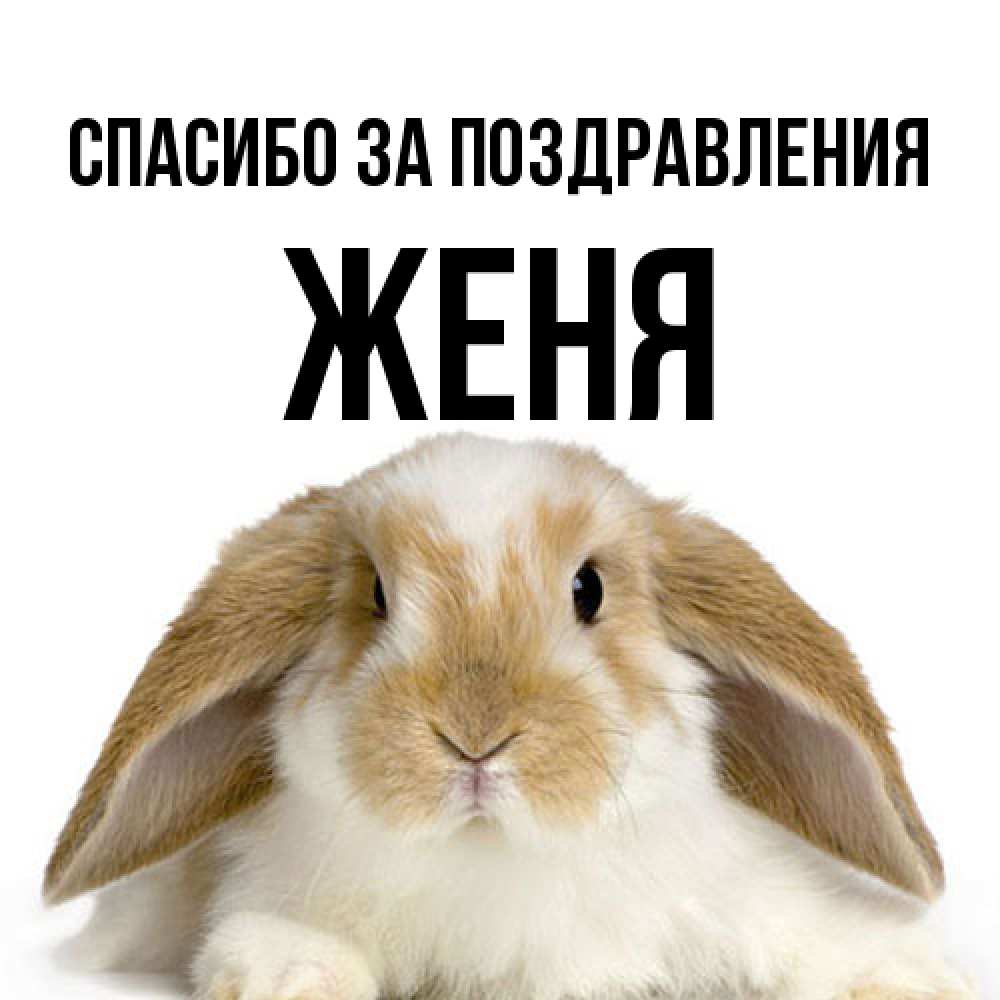 Открытка  с именем. Женя, Спасибо за поздравления  