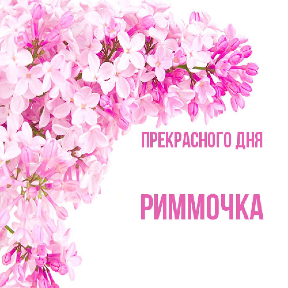 Открытка  с именем. Риммочка, Прекрасного дня  