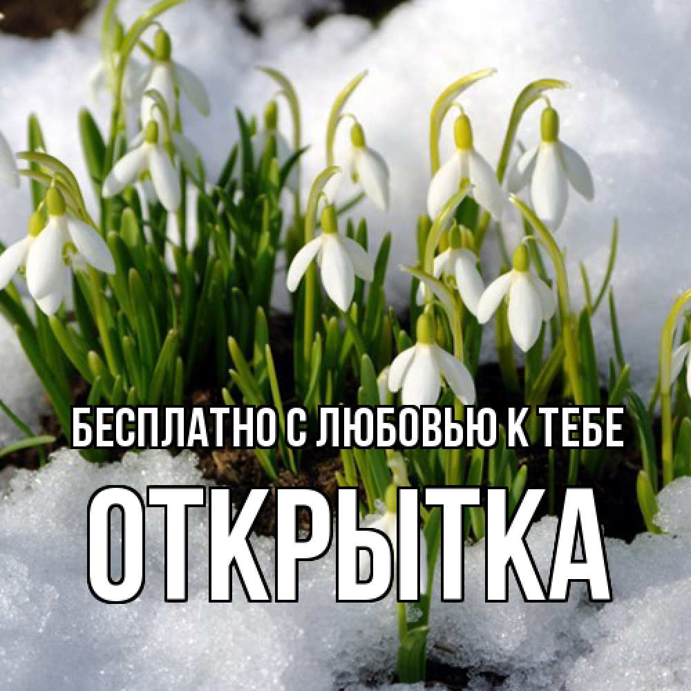 Открытка  с именем. открытка, С любовью к тебе  