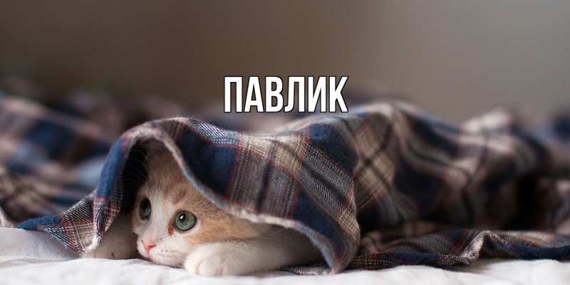 Картинка  с именем , Павлик