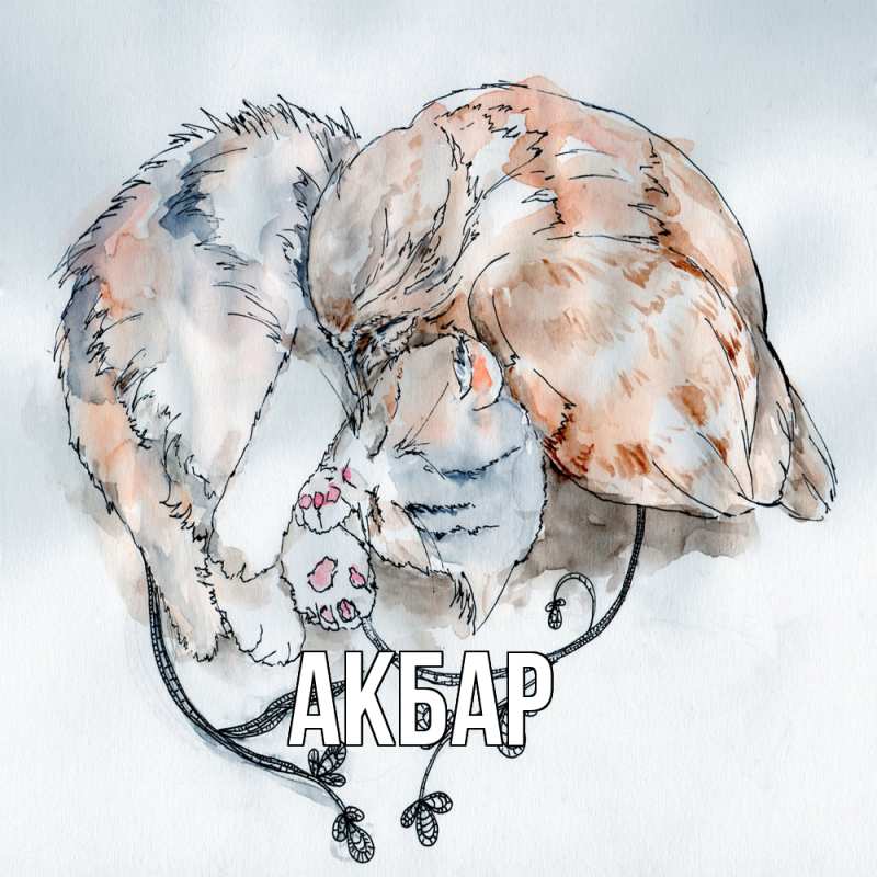 Картинка  с именем , Акбар