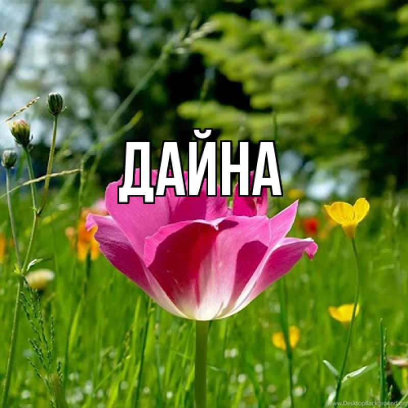 Картинка  с именем , Дайна