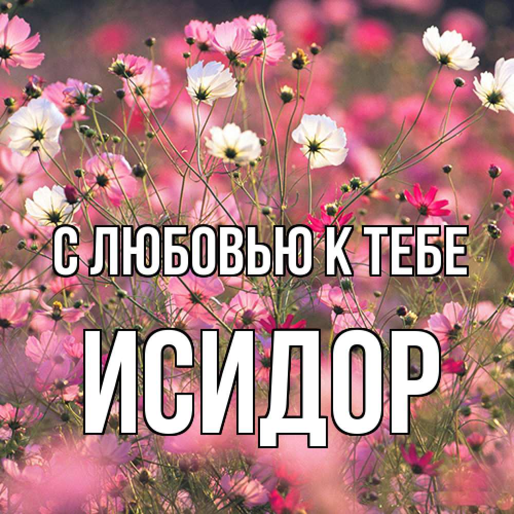 Открытка  с именем. Исидор, С любовью к тебе  