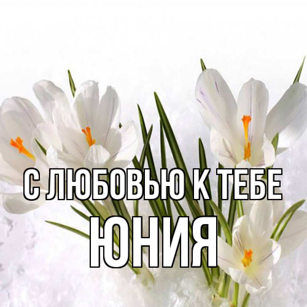 Открытка  с именем. Юния, С любовью к тебе  