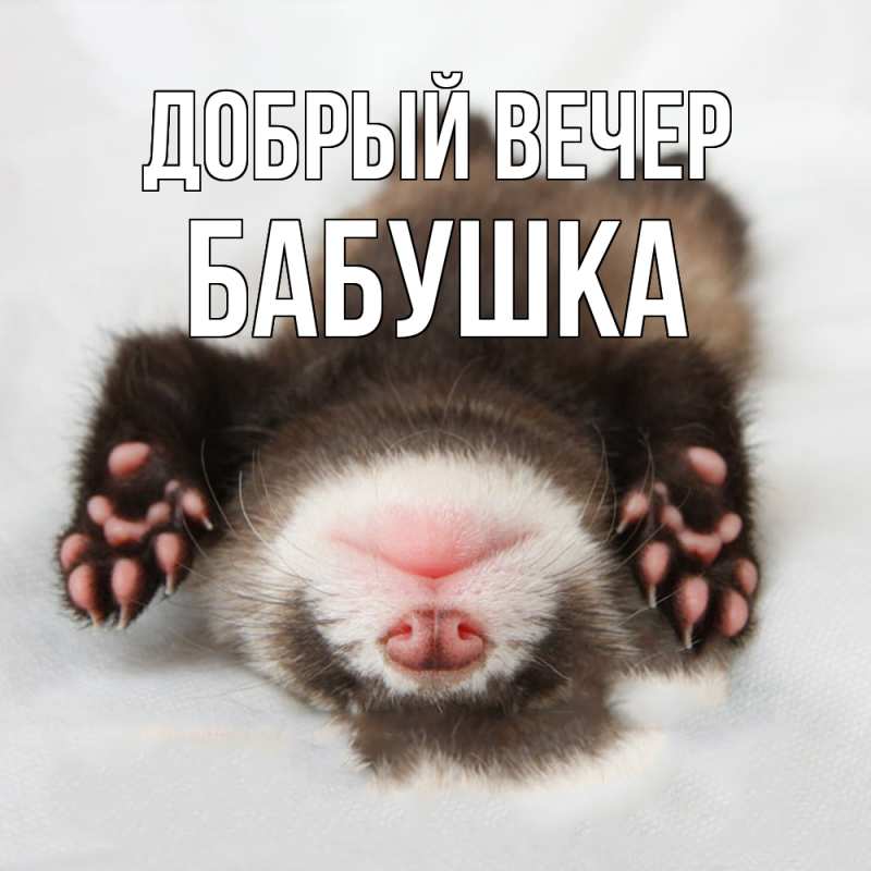 Картинка Добрый вечер, бабушка