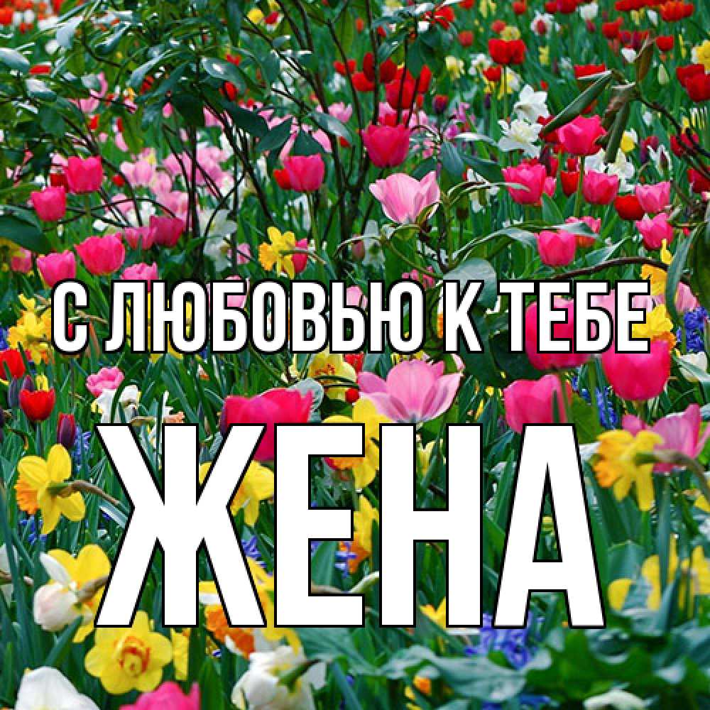 Открытка  с именем. Жена, С любовью к тебе  