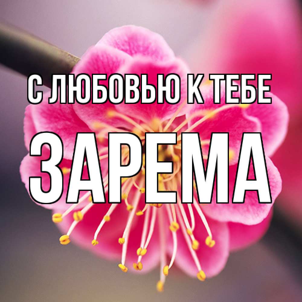 Открытка  с именем. Зарема, С любовью к тебе  