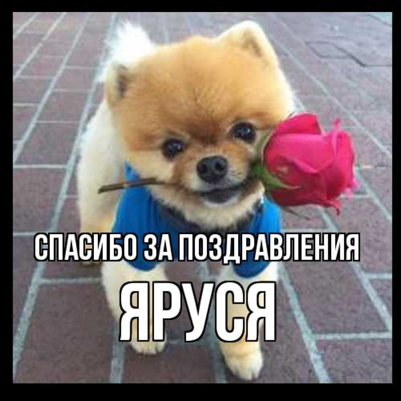 Картинка Спасибо за поздравления, Яруся