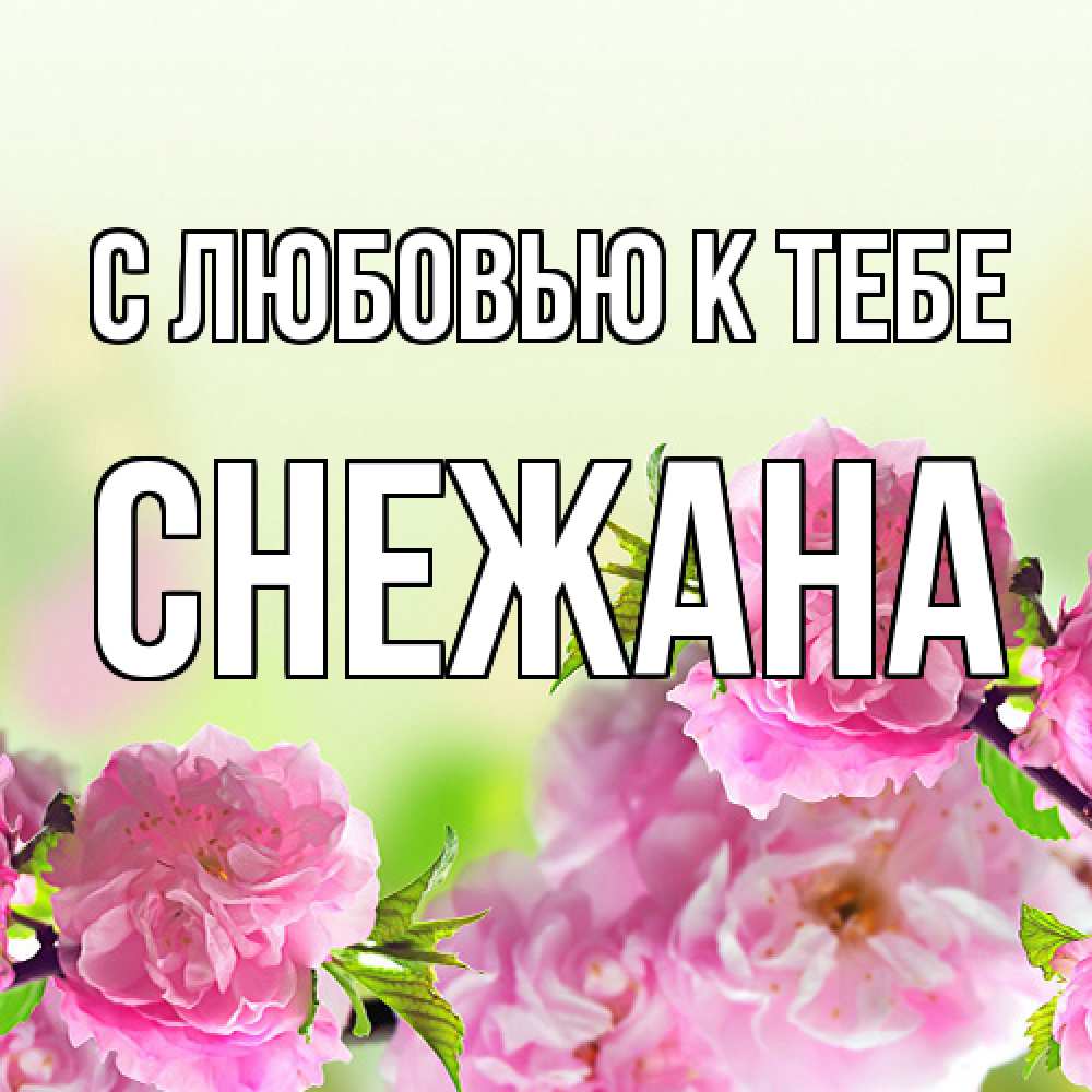 Открытка  с именем. Снежана, С любовью к тебе  