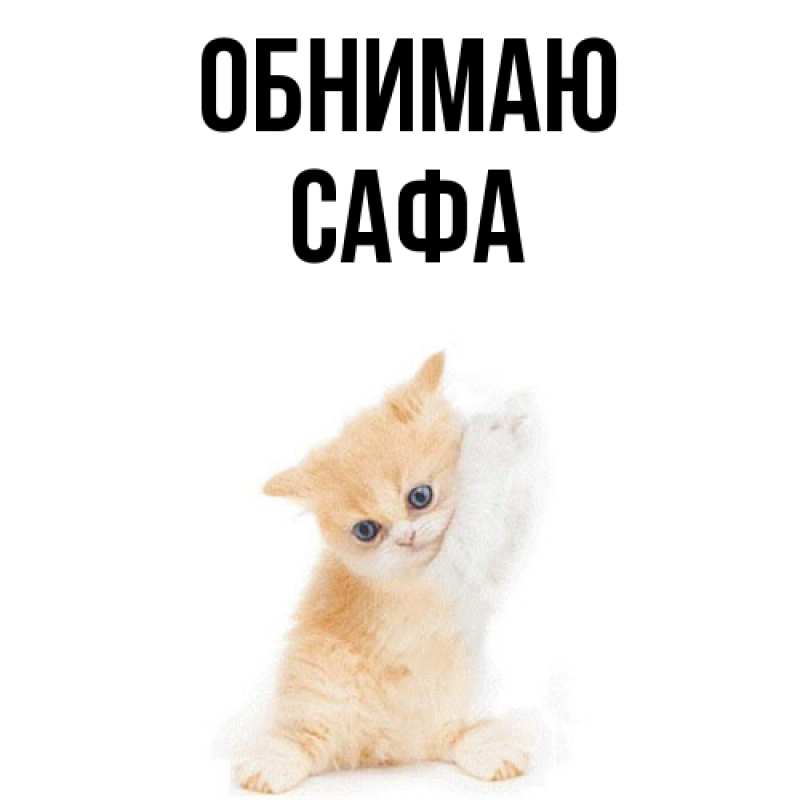 Картинка Обнимаю, Сафа