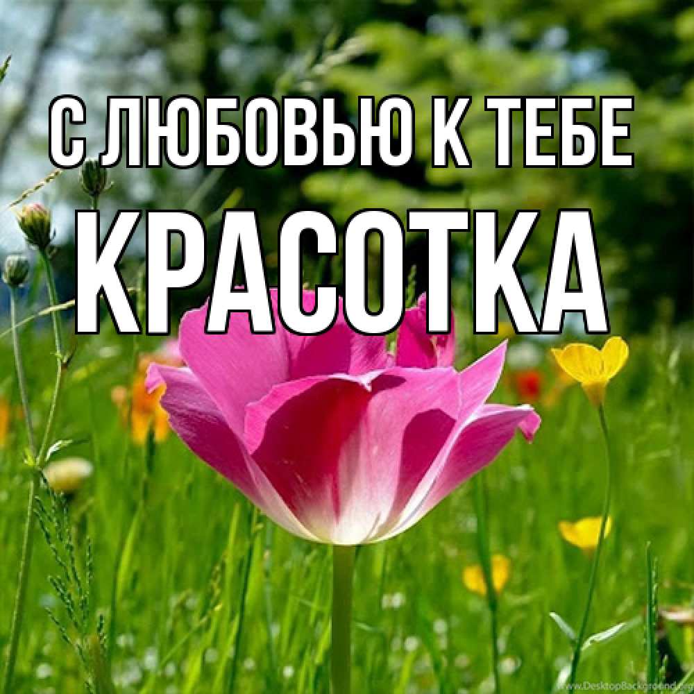 Открытка  с именем. Красотка, С любовью к тебе  
