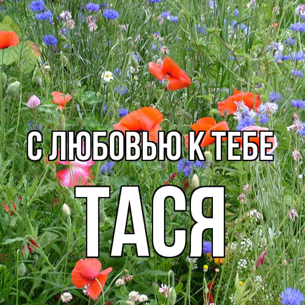 Открытка  с именем. Тася, С любовью к тебе  