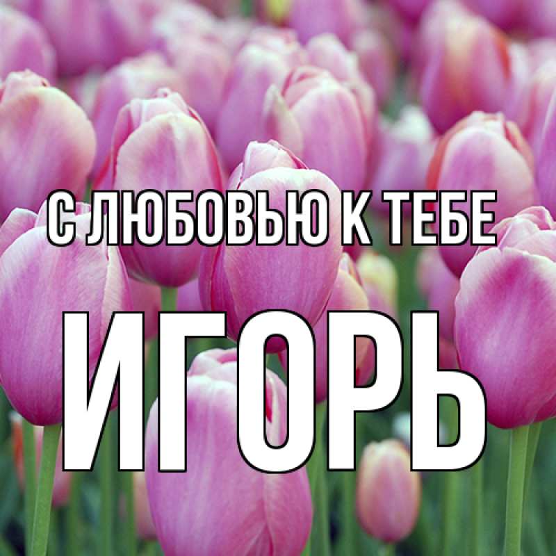 Картинка С любовью к тебе, Игорь