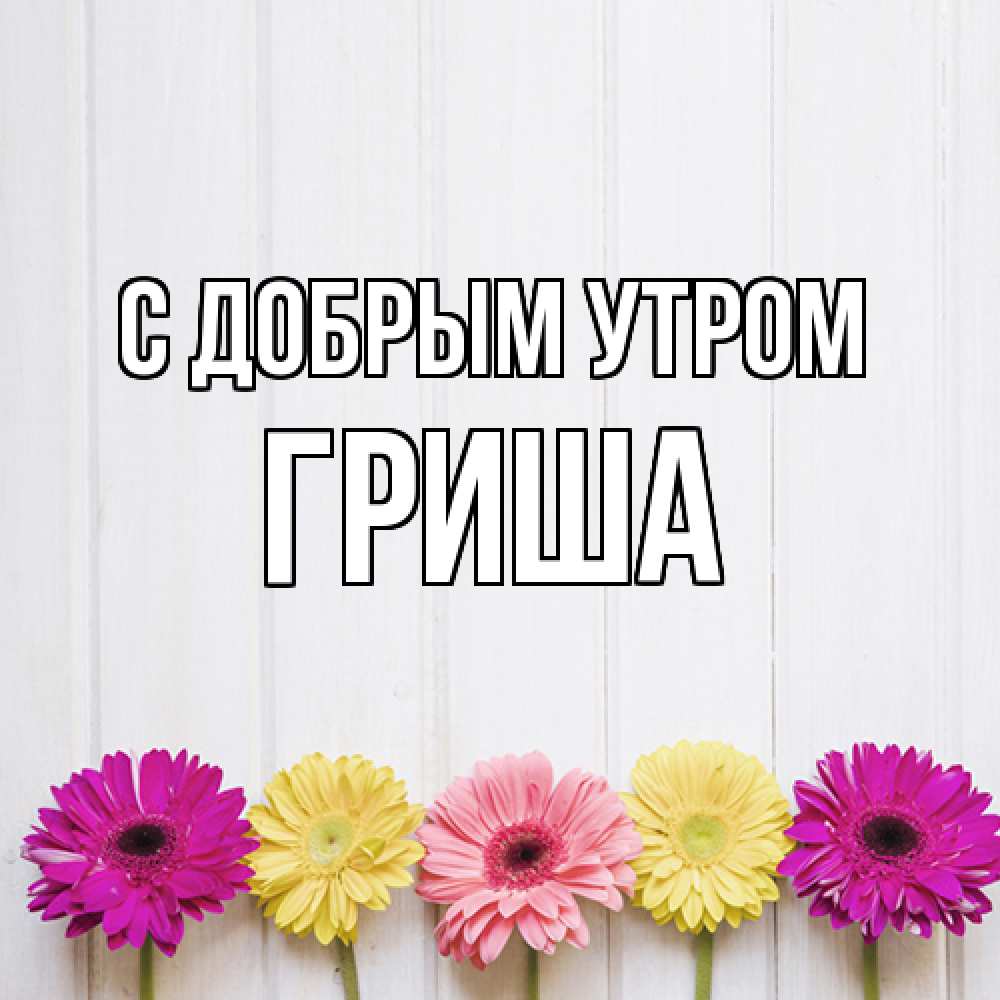 Открытка  с именем. Гриша, С добрым утром  