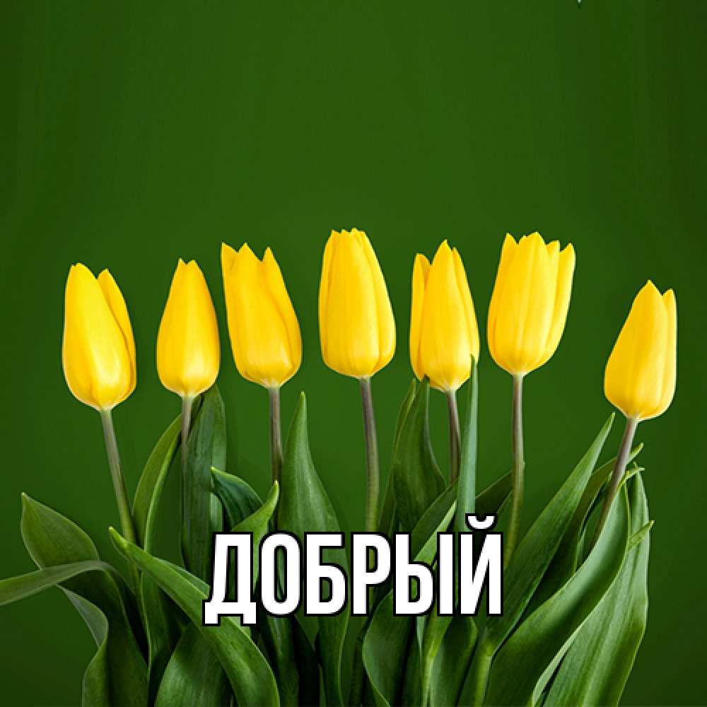 Открытка  с именем. Добрый, Главная  