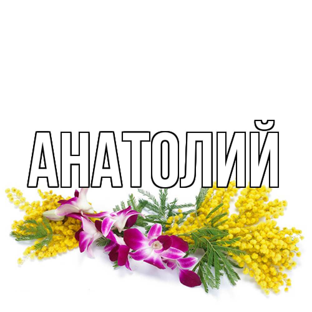 Открытка  с именем. Анатолий, Главная  