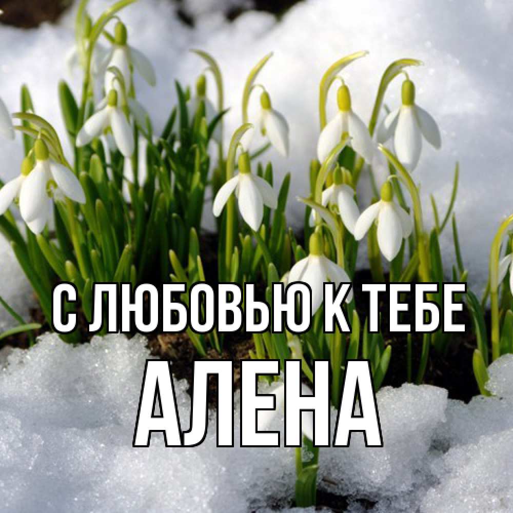 Открытка  с именем. Алена, С любовью к тебе  