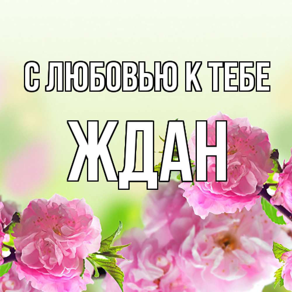 Открытка  с именем. Ждан, С любовью к тебе  