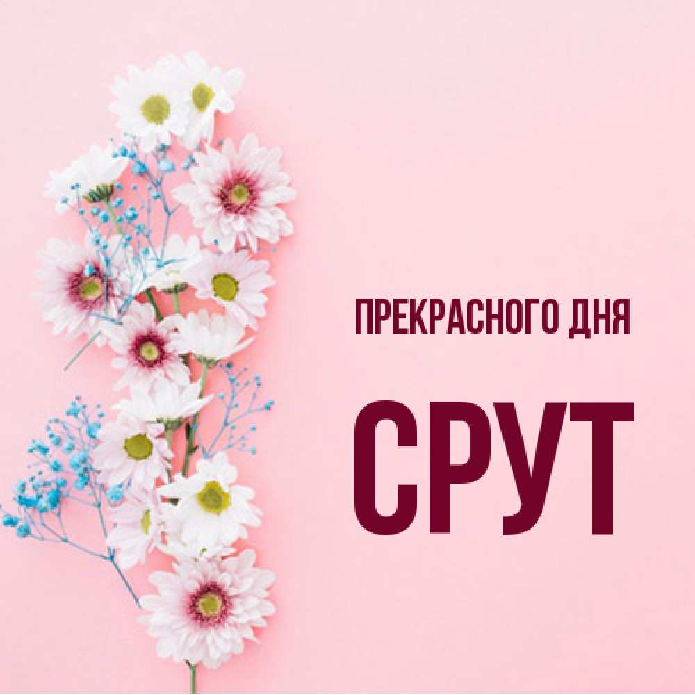 Открытка  с именем. срут, Прекрасного дня  