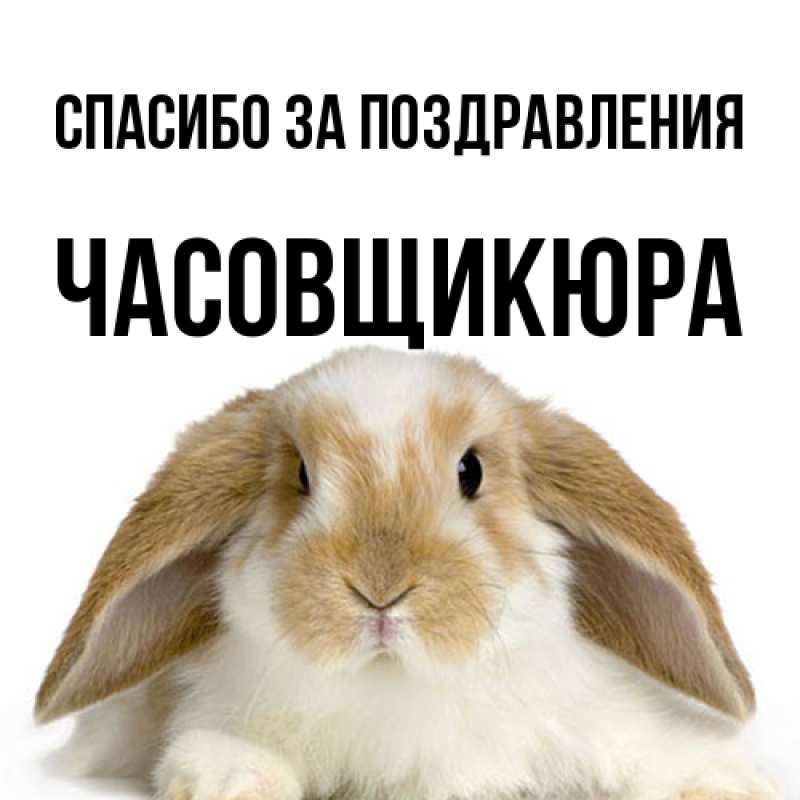 Картинка Спасибо за поздравления, Часовщикюра