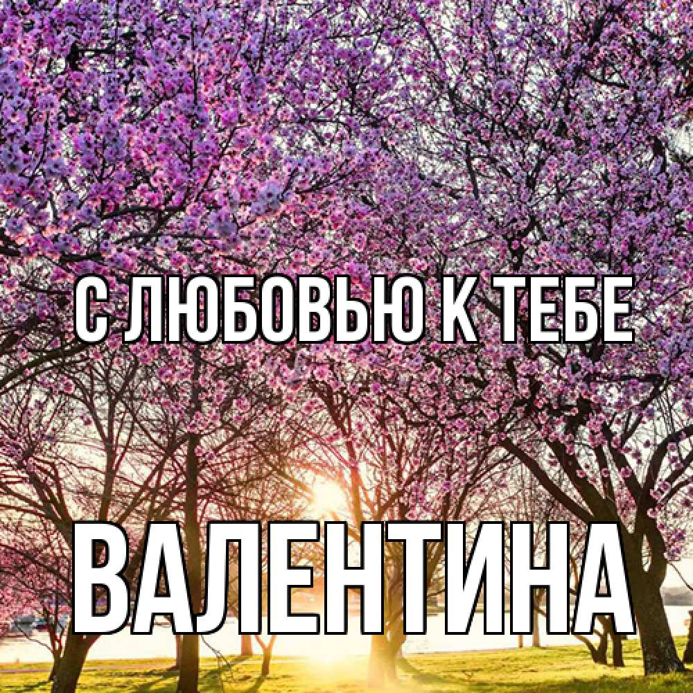Открытка  с именем. валентина, С любовью к тебе  