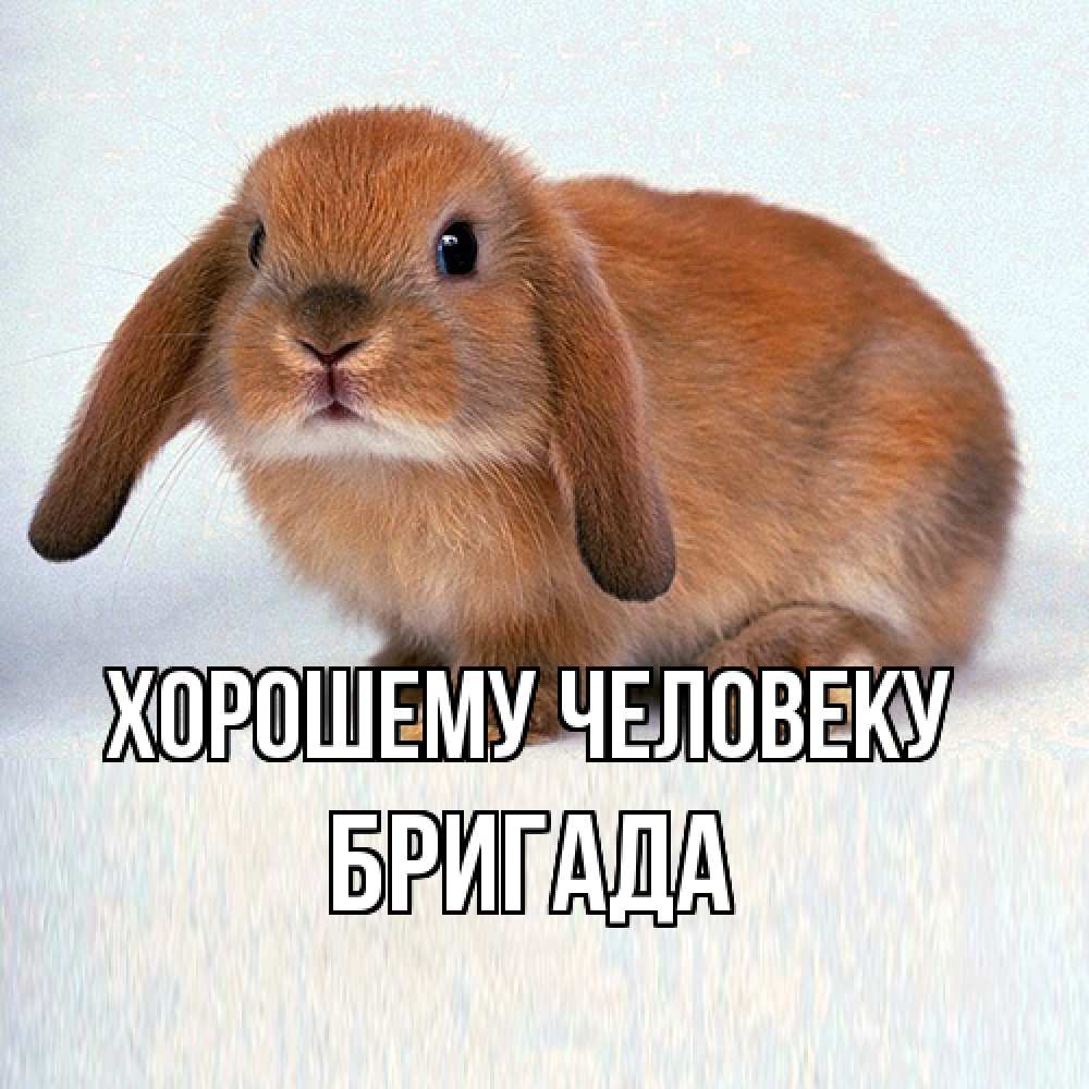 Открытка  с именем. Бригада, Хорошему человеку  
