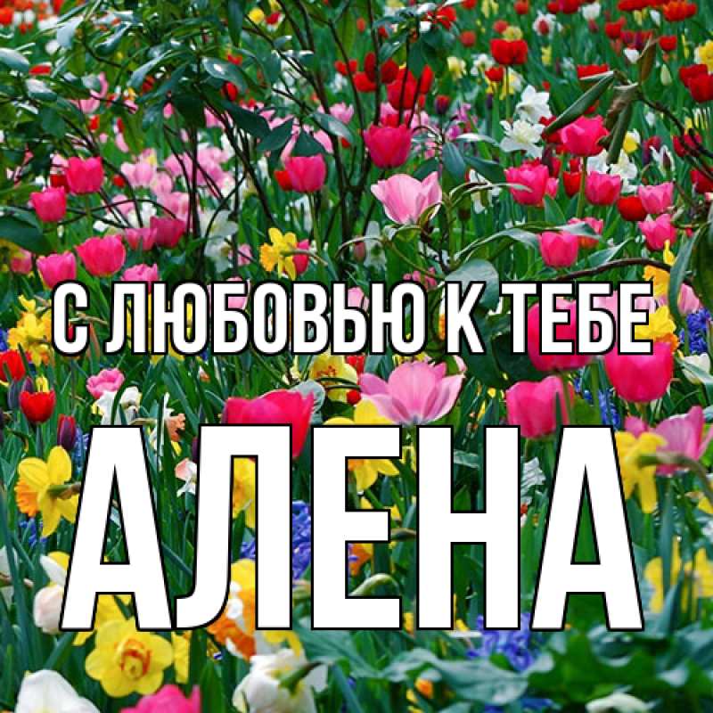 Картинка С любовью к тебе, Алена