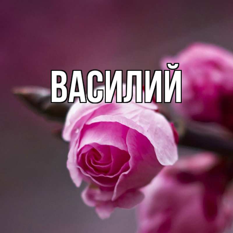 Картинка  с именем , Василий