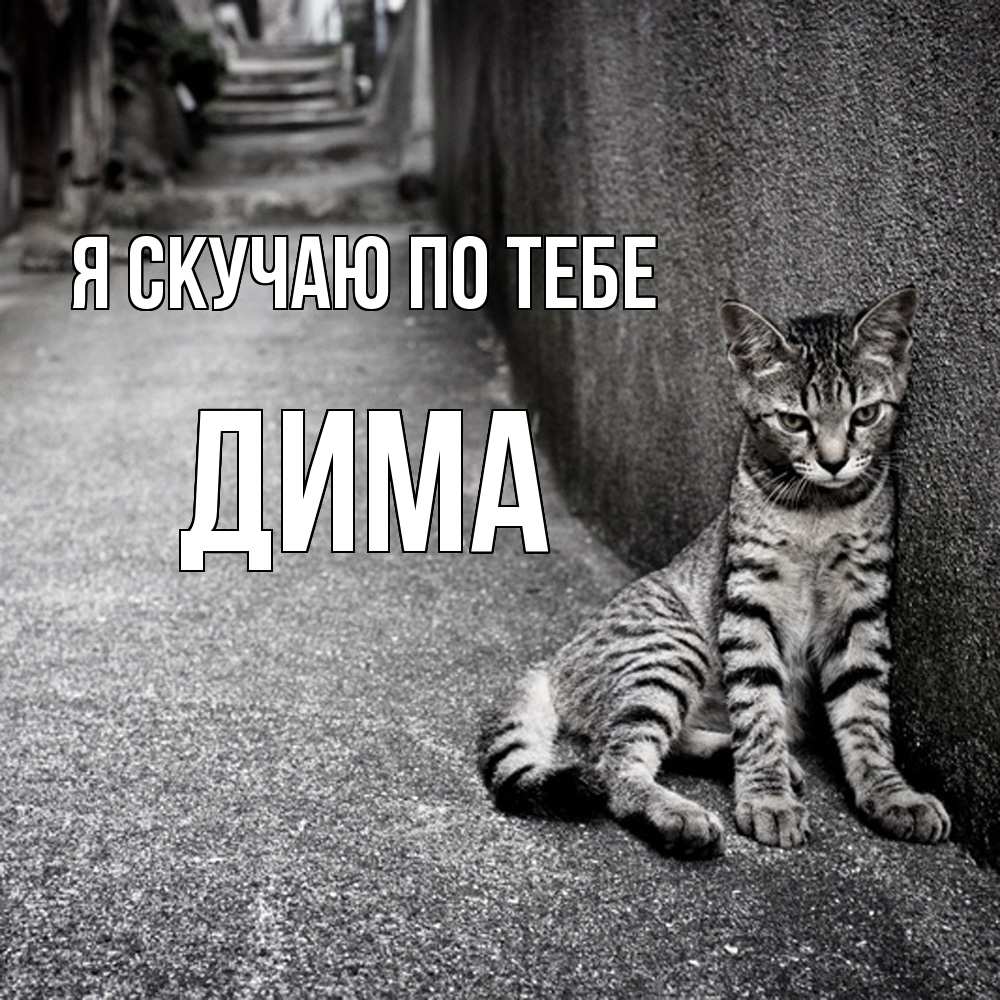 Открытка  с именем. Дима, Я скучаю по тебе  