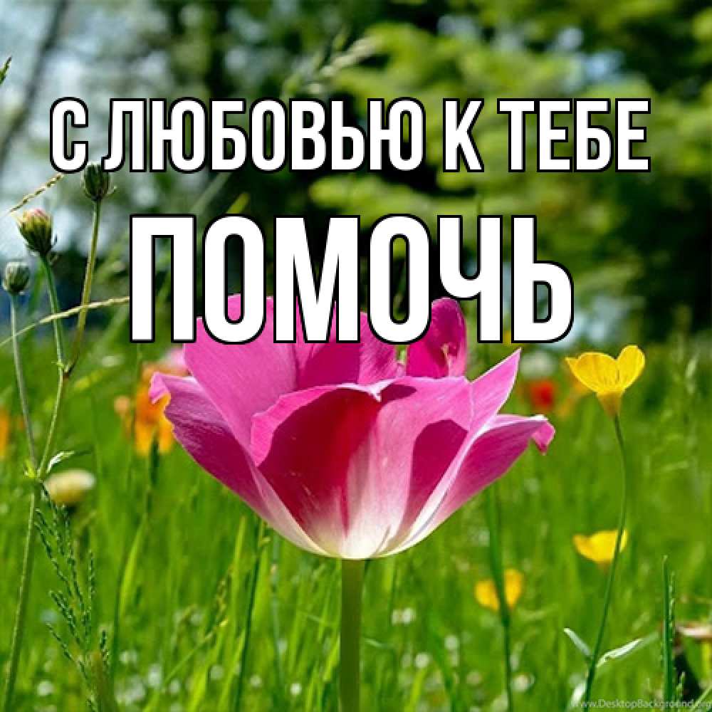 Открытка  с именем. Помочь, С любовью к тебе  
