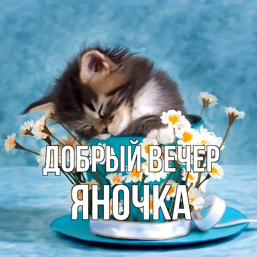 Открытка  с именем. Яночка, Добрый вечер  