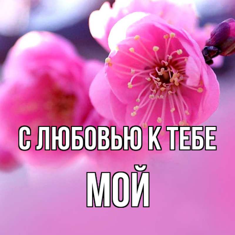 Картинка С любовью к тебе, Мой