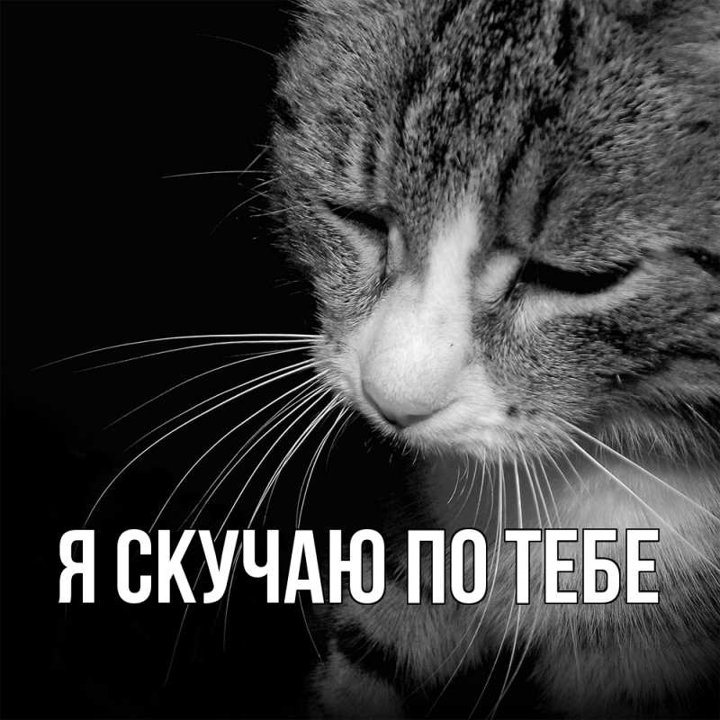 Картинка Я скучаю по тебе, 