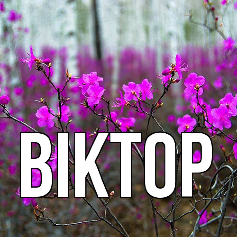 Открытка  с именем. Віктор, Главная  