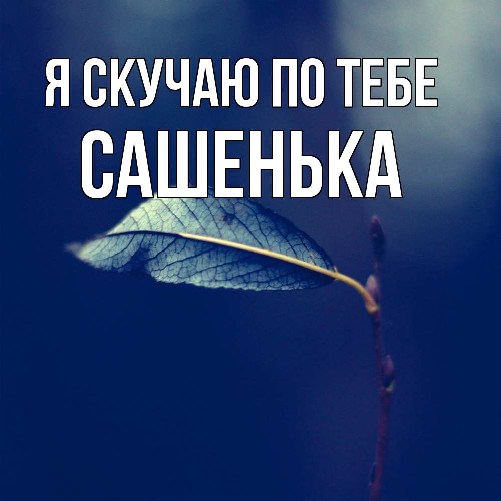 Открытка  с именем. Сашенька, Я скучаю по тебе  