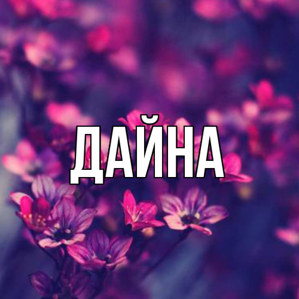 Открытка  с именем. Дайна, Главная  