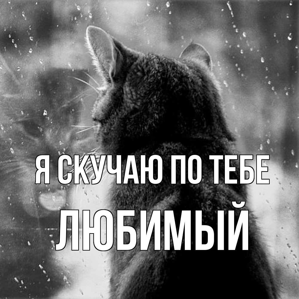 Открытка  с именем. Любимый, Я скучаю по тебе  