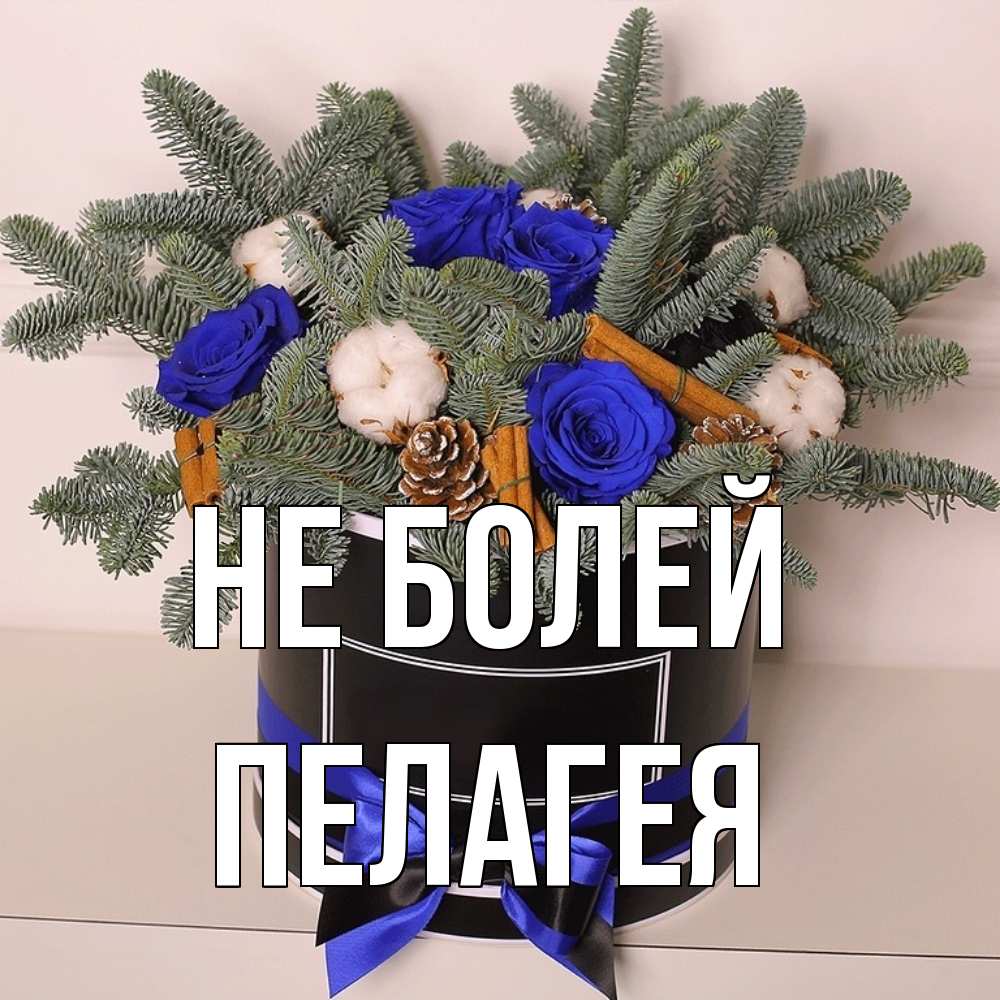 Открытка  с именем. Пелагея, Не болей  