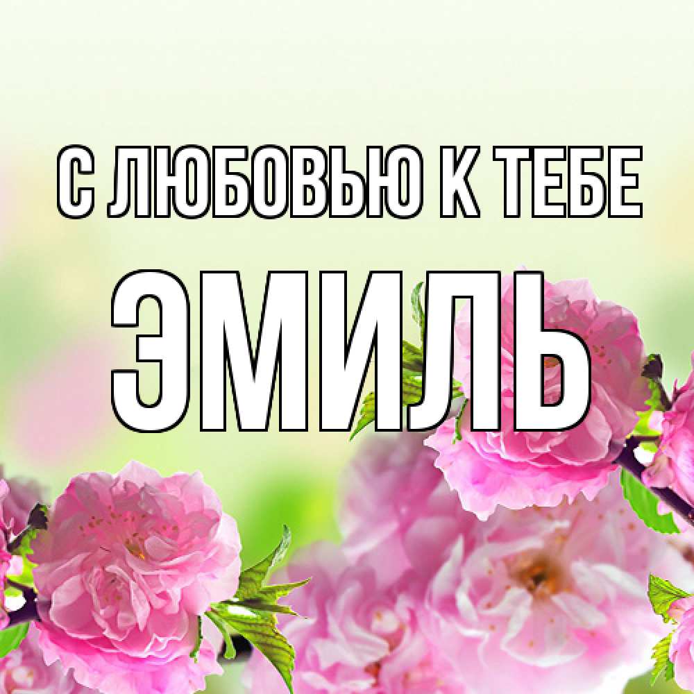 Открытка  с именем. Эмиль, С любовью к тебе  