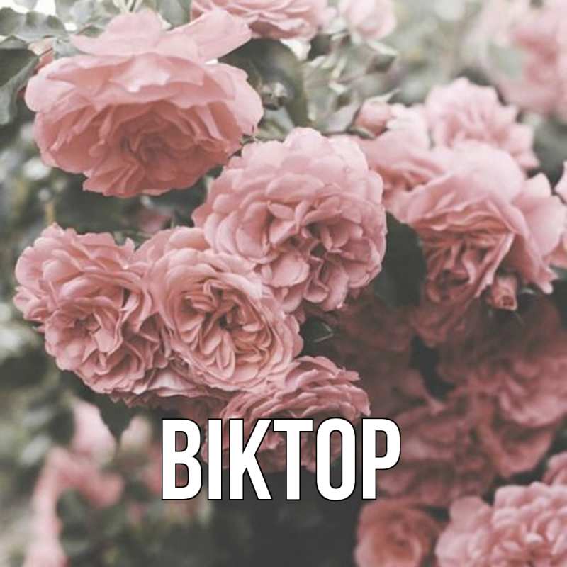 Картинка  с именем , Віктор