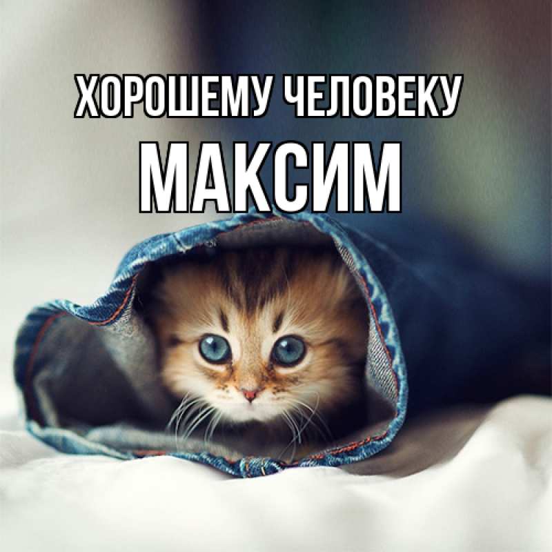 Картинка Хорошему человеку, Максим