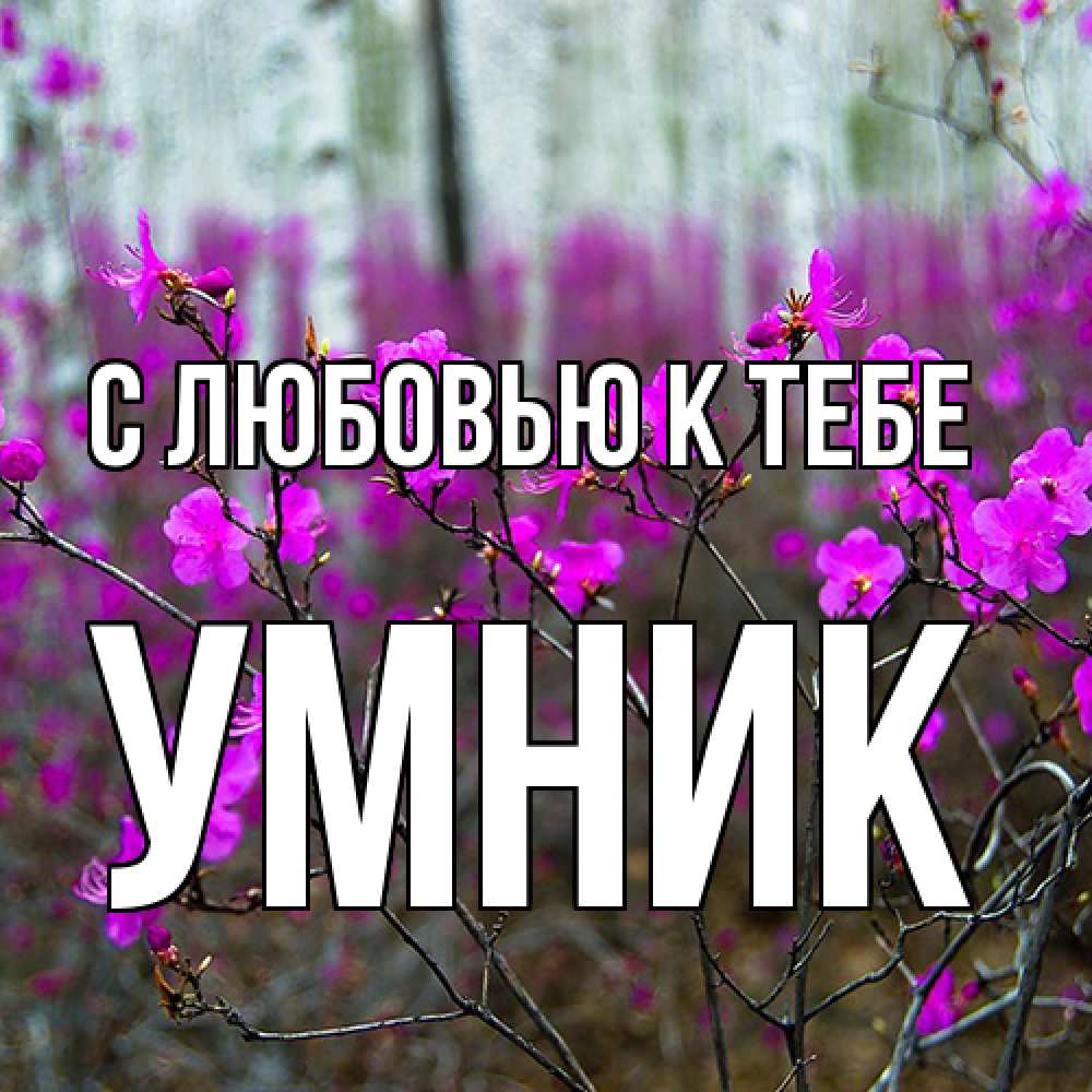 Открытка  с именем. Умник, С любовью к тебе  