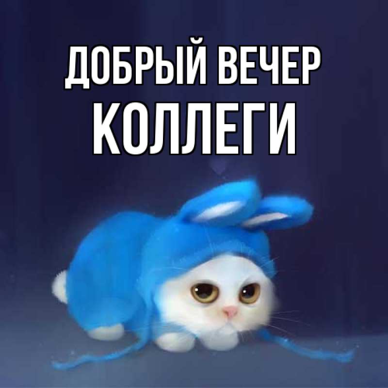Картинка Добрый вечер, коллеги