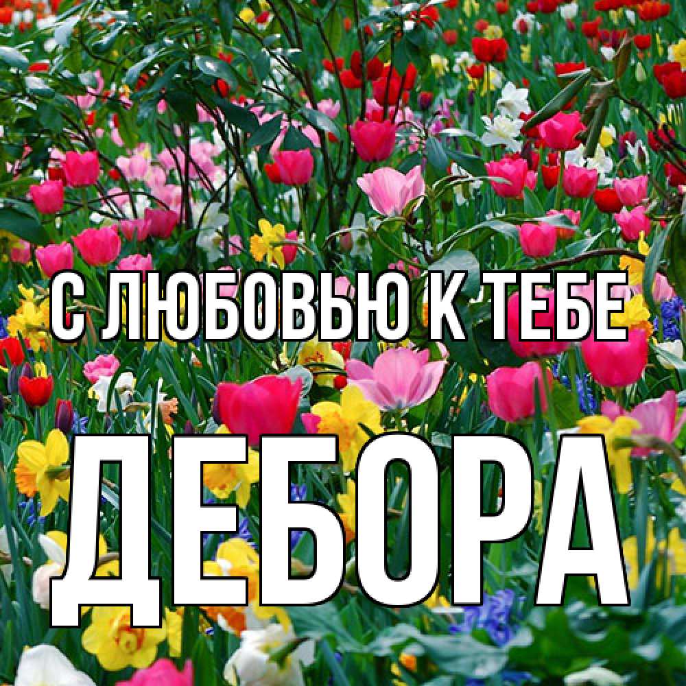 Открытка  с именем. Дебора, С любовью к тебе  